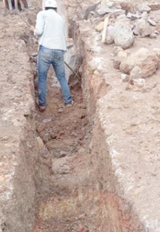 Imagen del proyecto
